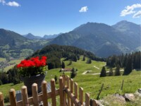 Ausblick vom Berggasthaus zum oberen Horn Hindelang-©Monika-Kohmann