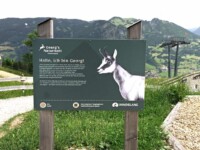 Georg, das Maskottchen vom Erlebnispfad, begrüsst die kleinen Besucher am Spielplatz ©Sylvia Becker Georg, das Maskottchen vom Erlebnispfad, begrüsst die kleinen Besucher am Spielplatz ©Sylvia Becker