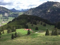 Blick zur Hornalpe - ©Sylvia Becker Blick zur Hornalpe - ©Sylvia Becker