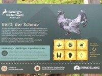 Familienwanderweg und Erlebnispfad am Berggasthaus zum oberen Horn - ©Rainer Becker Familienwanderweg und Erlebnispfad am Berggasthaus zum oberen Horn - ©Rainer Becker
