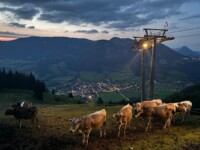Blick auf Hindelang am Abend vom Berggasthaus zum oberen Horn ©Florian Kohmann Blick auf Hindelang am Abend vom Berggasthaus zum oberen Horn ©Florian Kohmann
